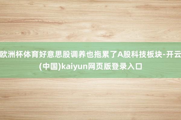 欧洲杯体育好意思股调养也拖累了A股科技板块-开云(中国)kaiyun网页版登录入口