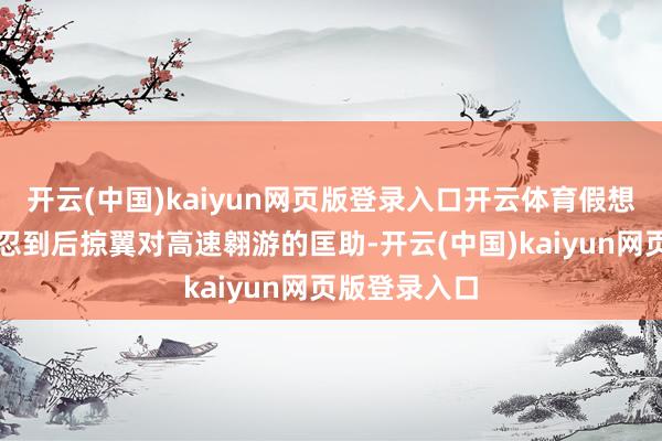 开云(中国)kaiyun网页版登录入口开云体育假想师们仍是坚忍到后掠翼对高速翱游的匡助-开云(中国)kaiyun网页版登录入口